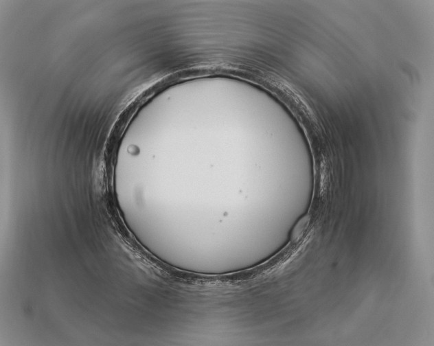 X0000112900876200909111522