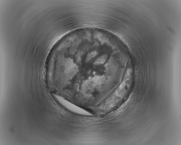 X0000112900879200909111522