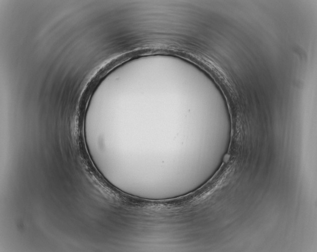 X0000112900880200909111522