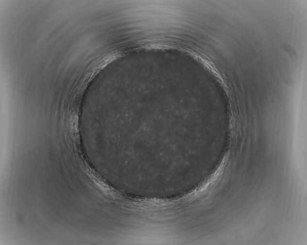 X0000112900881200909111522