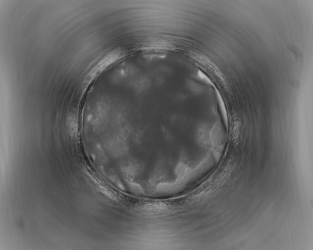 X0000112900882200909111522