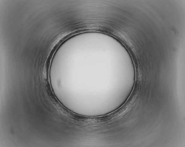 X0000112900883200909111522