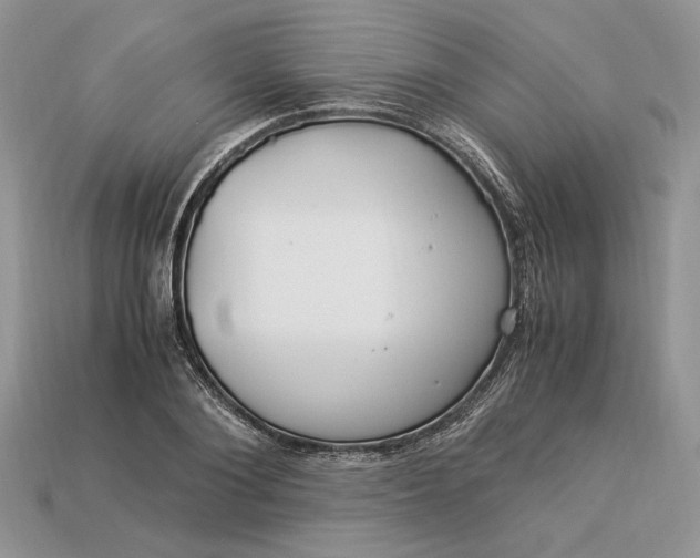 X0000112900884200909111522