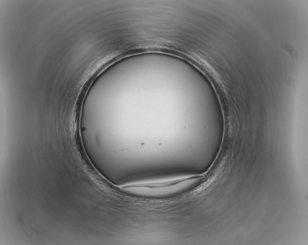 X0000112900885200909111522