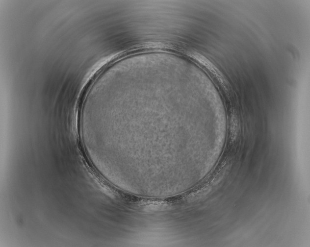 X0000112900886200909111522