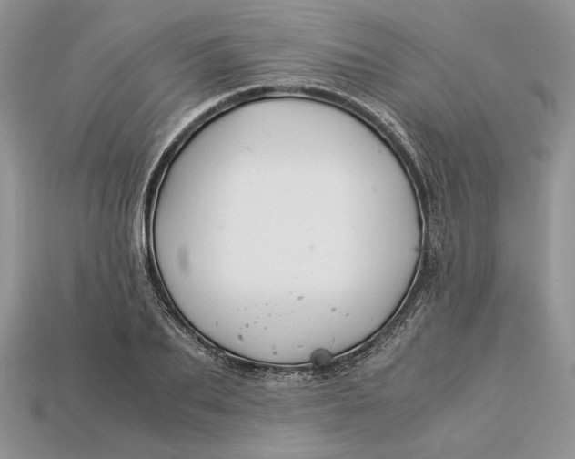 X0000112900887200909111522
