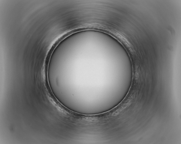 X0000112900888200909111522
