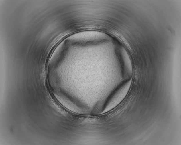 X0000112900890200909111522