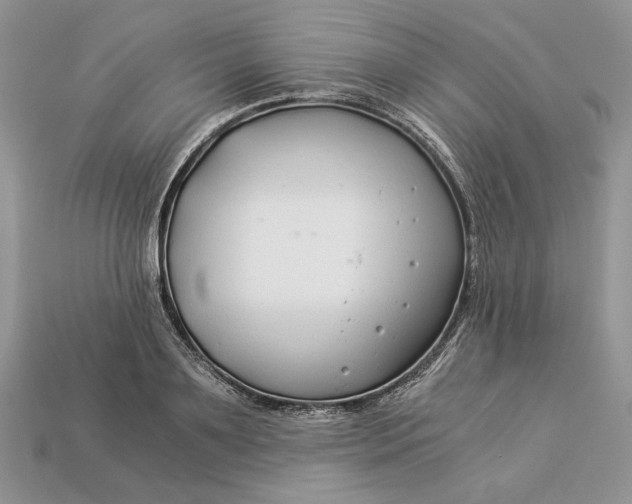 X0000112900891200909111522