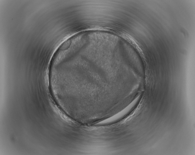X0000112900892200909111522