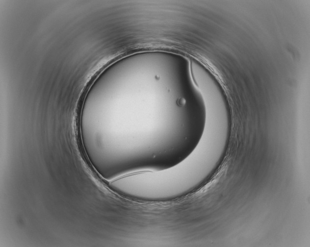 X0000112900893200909111522