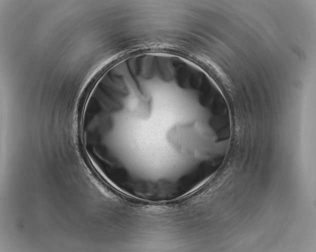 X0000112900894200909111522