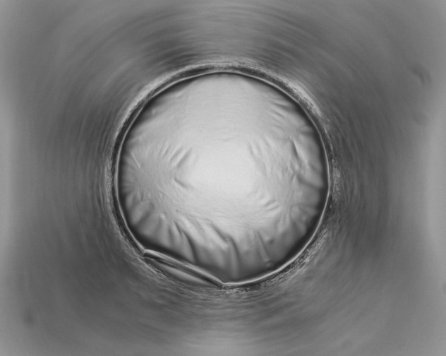 X0000112900895200909111522