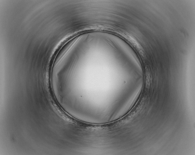 X0000112900896200909111522