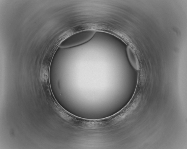 X0000112900897200909111522