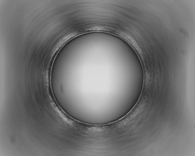 X0000112900898200909111522