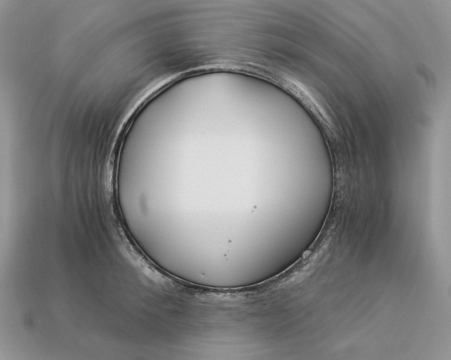 X0000112900900200909111522