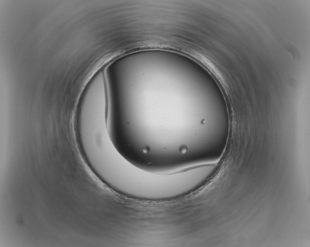 X0000112900901200909111522