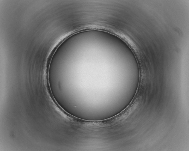 X0000112900902200909111522