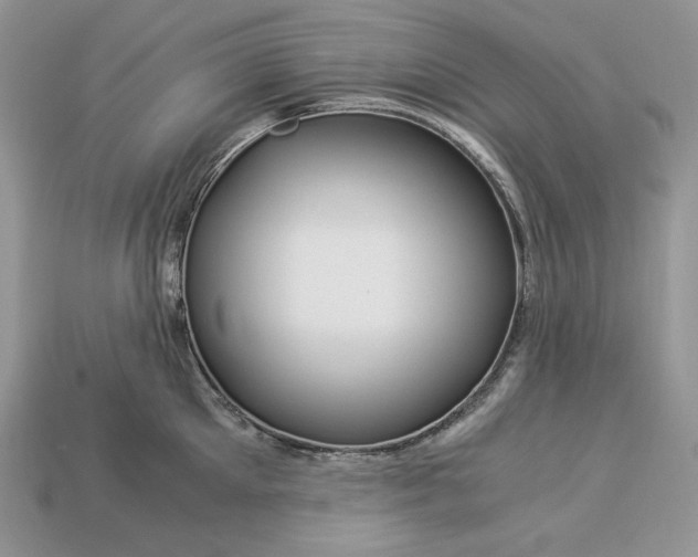 X0000112900905200909111522