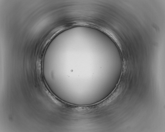 X0000112900906200909111522