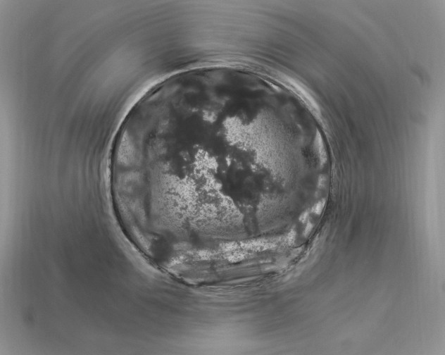 X0000112900907200909111522