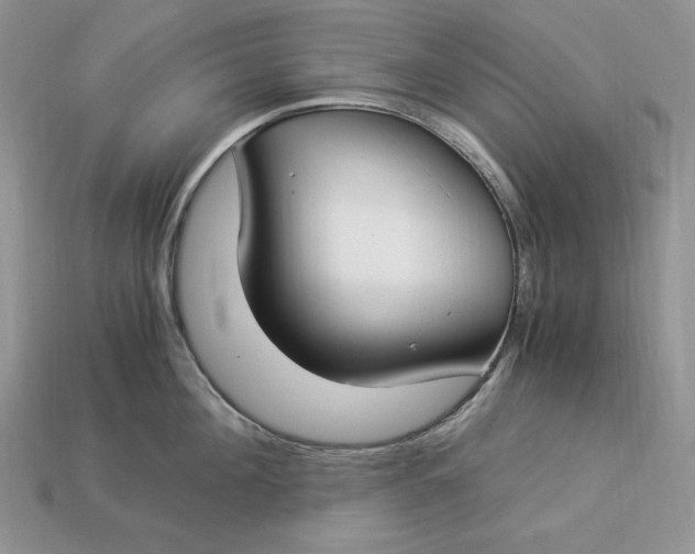 X0000112900908200909111522