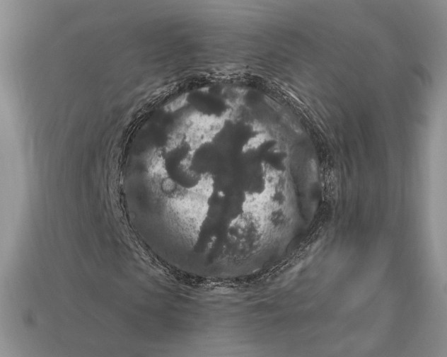 X0000112900913200909111521