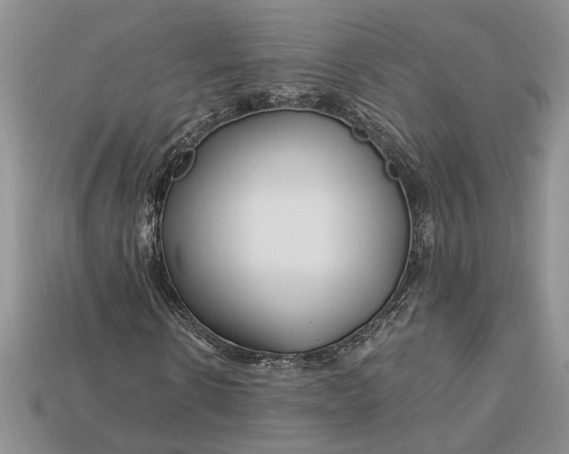 X0000112900914200909111521