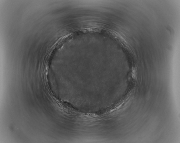 X0000112900915200909111521