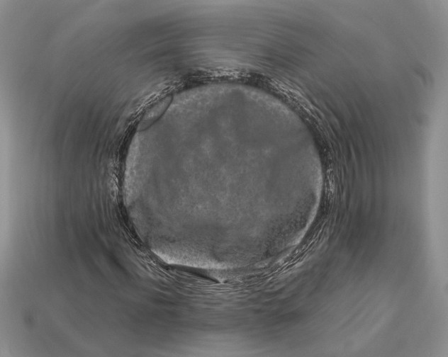 X0000112900916200909111521