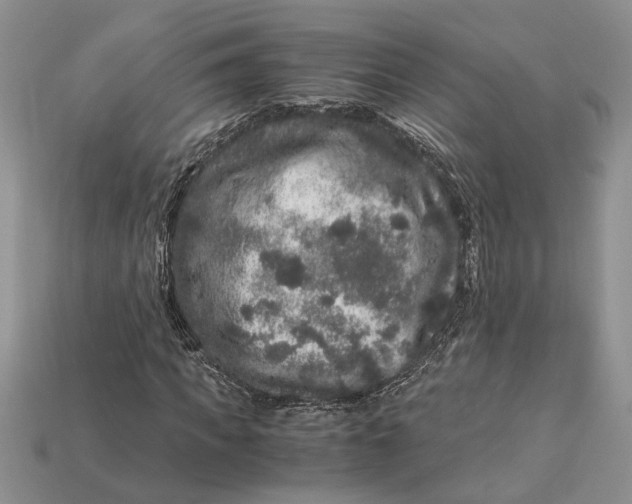 X0000112900917200909111521