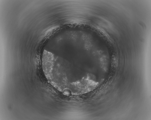 X0000112900918200909111521