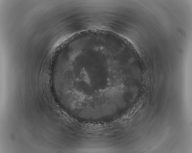 X0000112900919200909111521