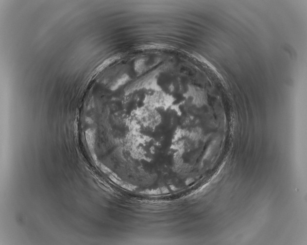 X0000112900921200909111521