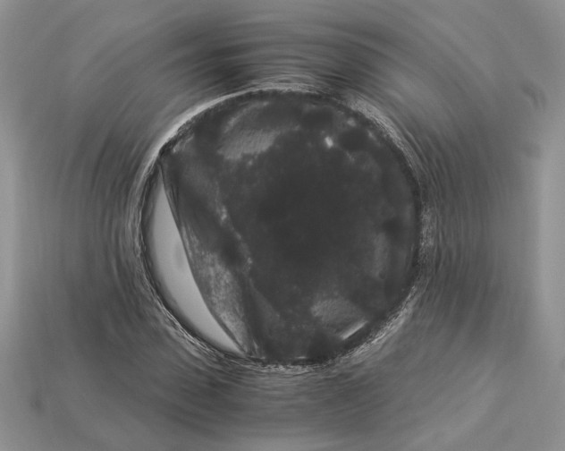 X0000112900923200909111521