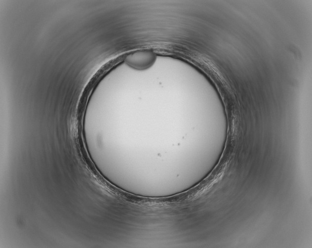 X0000112900924200909111521