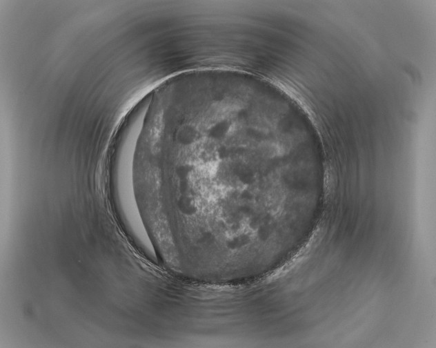 X0000112900925200909111521