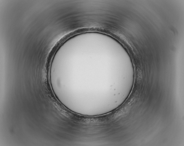 X0000112900927200909111521