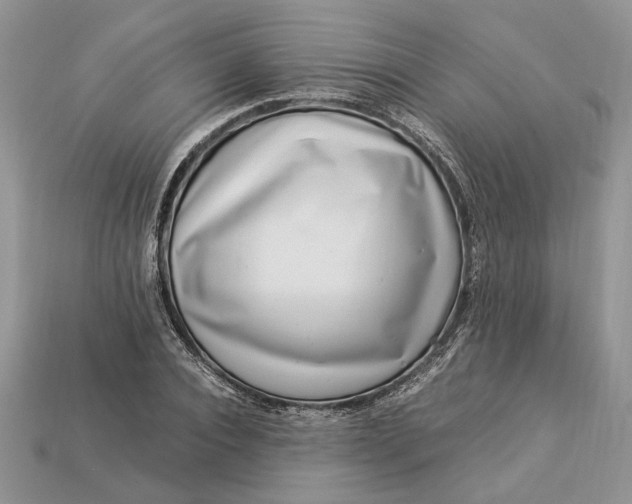 X0000112900928200909111521