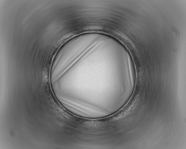 X0000112900929200909111521