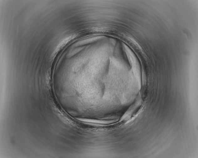 X0000112900930200909111521
