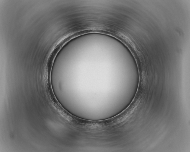 X0000112900931200909111521