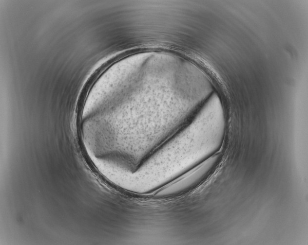 X0000112900932200909111521