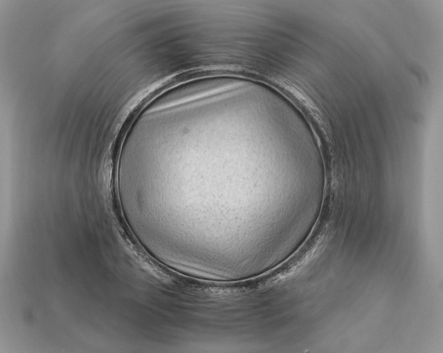 X0000112900933200909111521
