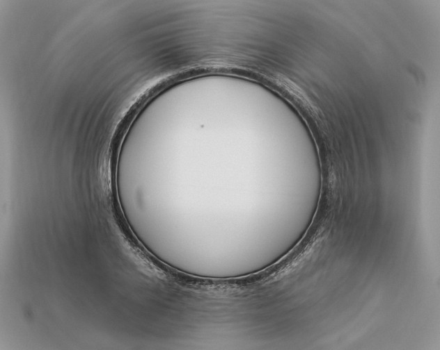 X0000112900934200909111521