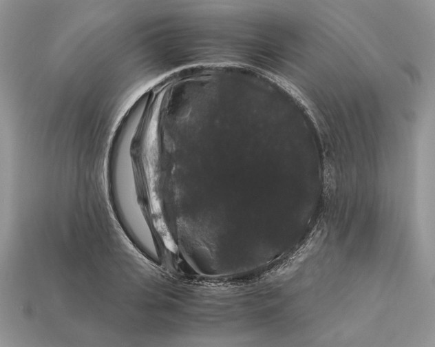 X0000112900935200909111521