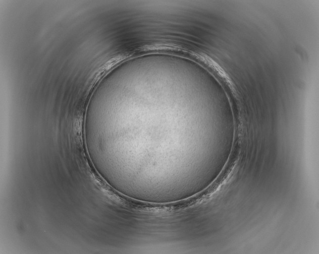 X0000112900937200909111522