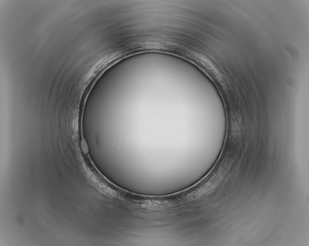 X0000112900938200909111522