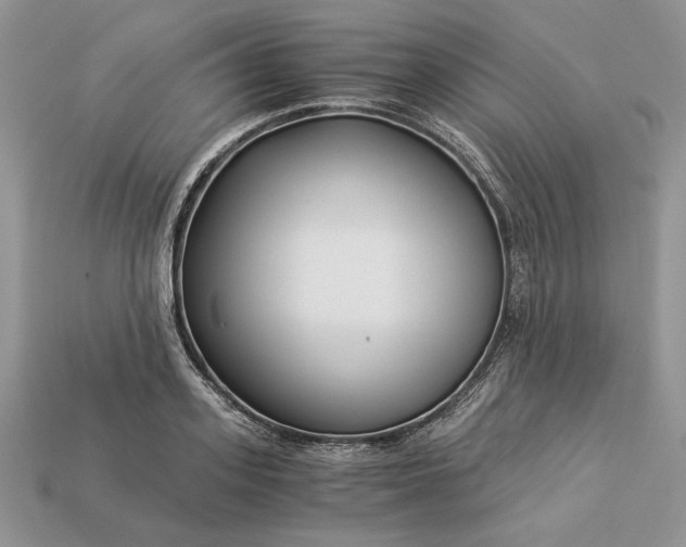 X0000112900939200909111522